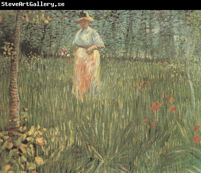 Vincent Van Gogh A Woman Walking in a Garden (nn04)